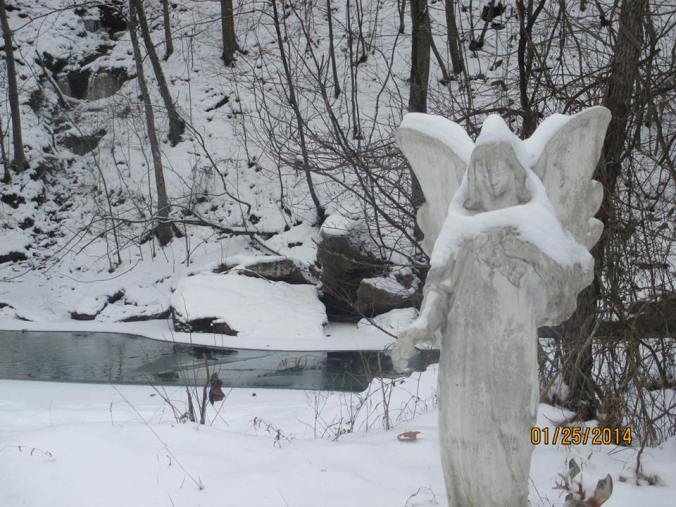 Photo by Mabel Priddy