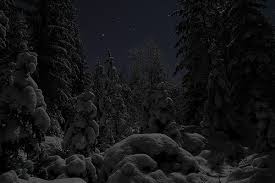 Photo by P. Koskela, Finland